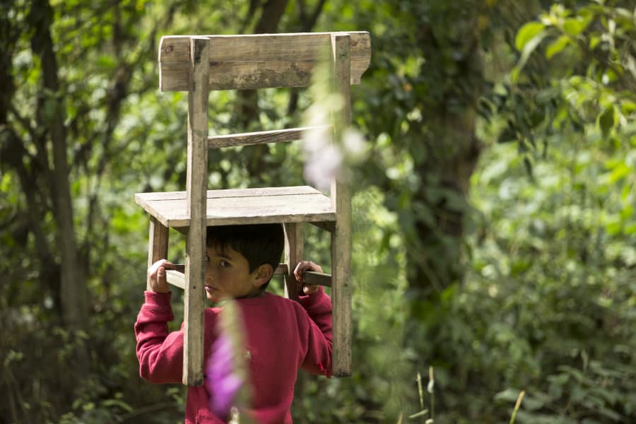 PACCPA7 El tamaño de las cosas